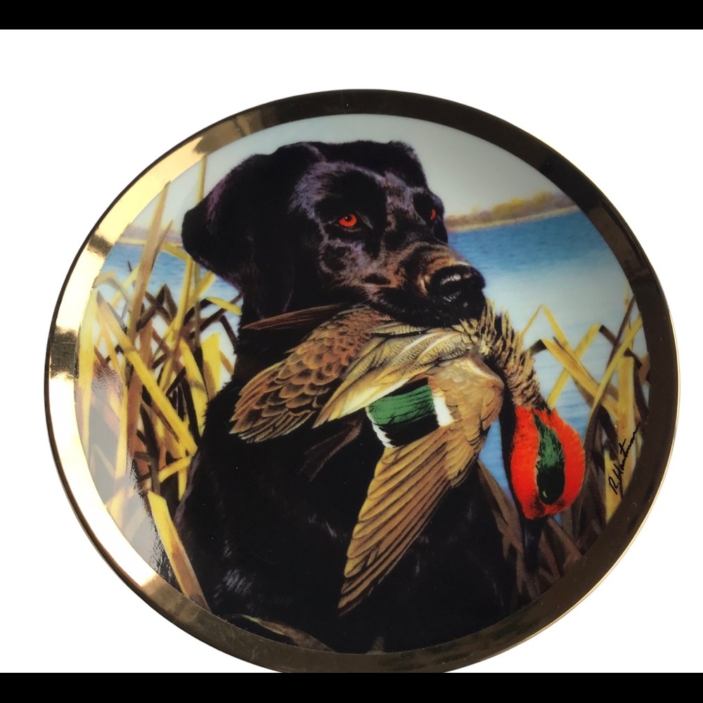 Hautman Brother. Lab with teal plate collection.